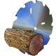DRY FIREWOOD PROCESSING