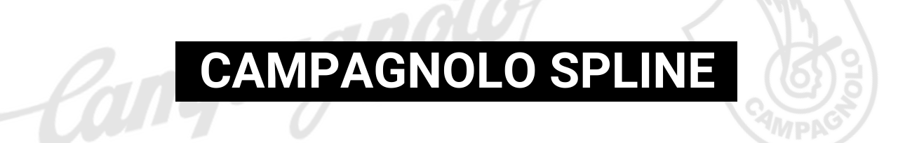 Campagnolo Spline.png