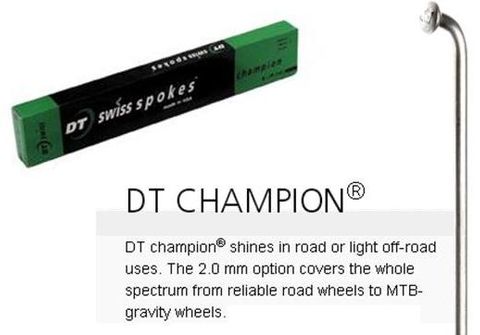 SPOKES - DT Champion Spoke, 286mm, SILVER (Sold Individually) - 14G (2.0mm), J Hook, Stainless Steel