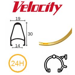 RIM 700c x 14mm - VELOCITY DEEP V - 24H - (622 x 14) - Presta Valve - Rim Brake - D/W - GOLD (Anodised) - MSW