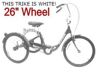 See NSQ4586   TRIKE  26" 6 Speed SHIMANO, 2500 Series (Designed in Australia)  Clean WHITE