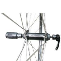 Derailleur Protecter / light post , alloy, to fit skewer