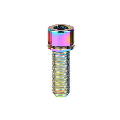 TITANIUM BOLT - M6 x 25mm, Rainbow, Gr 5 Bolt, w/washer, Standard Allen Key head (Sold Individually)
