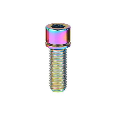 TITANIUM BOLT - M8 x 25mm, Rainbow, Gr 5 Bolt, w/washer, Standard Allen Key head (Sold Individually)