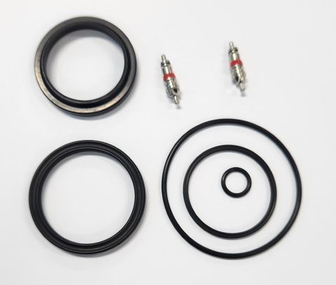 Rear shock - EDGE PLUS AIR SEAL KIT