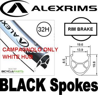 WHEEL - 700c Alex R-450 32H Silver Rim,  8/10 SPEED CAMPAG ONLY Q/R (130mm OLD) Sealed Novatec White Hub,  Mach 1 BLACK Spokes