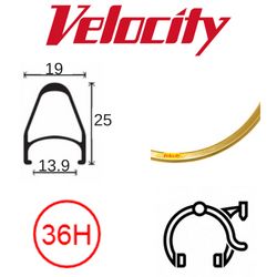 RIM 700c x 14mm - VELOCITY FUSION - 36H - (622 x 14) - Presta Valve - Rim Brake - D/W - BRIGHT GOLD - MSW