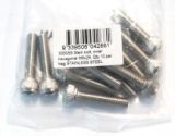 Stem Bolt Inner Hex M6 x 25mm (Bag of 10) Stainless Steel