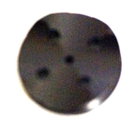 R1/TH1 2010 MC RESERVOIR COVER