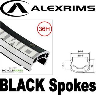 WHEEL - 700c Alex DM18 36H Black Rim,  FRONT Nutted (100mm OLD) 6 Bolt Disc Sealed Novatec Black Hub, BLACK Spokes