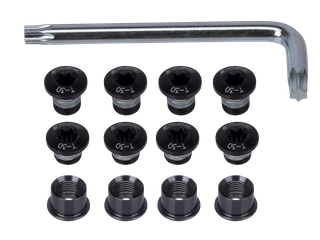 `A NEW ITEM - BOLTS KIT CK-700A BLK W/T-30TORX WRENCH FSA LOGO