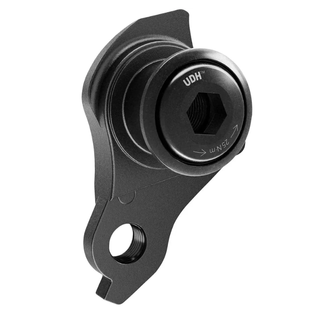 `A NEW ITEM - Rear Derailleur Hanger ALLOY - for UDH, M12 x P1.0, matt black, w/screw & washer