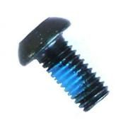 BOLT  M5 x 10mm, T25 Torx, for Disc Rotor, with Lock Tite, BLACK  (Sold Individually)