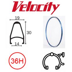 RIM 700c x 14mm - VELOCITY DEEP V - 36H - (622 x 14) - Presta Valve - Rim Brake - D/W - TEAL (Powder Coated) - MSW