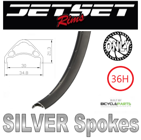 WHEEL - 29er Jetset AE-30 36H S/j Black Rim,  FRONT DYNAMO Nutted (100mm OLD) 6 Bolt Disc Sealed Sturmey Archer Silver Hub, SILVER Spokes