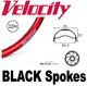 35.0mm OD - Blunt 35 - DW - PJ - DS - TR - 32H - Red - V3054 - V3052