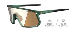 MOAB | Forest Vapour Frame - Clarion Gold Fototec