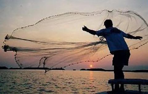 5' MONO CAST NET