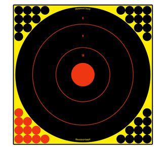 17.25" SHOOT-N-C REACTIVE TARGETS 5PK