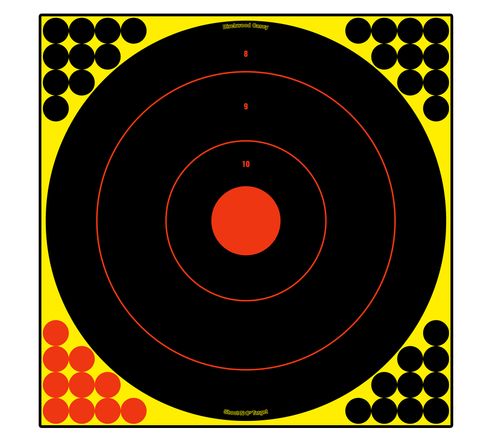 17.25" SHOOT-N-C REACTIVE TARGETS 5PK