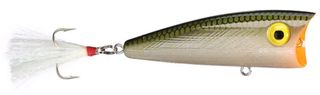 1/4 OZ POP-R TOPWATER LURE TENESSEE SHAD 2.5"