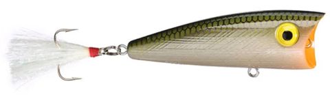 1/4 OZ POP-R TOPWATER LURE TENESSEE SHAD 2.5"