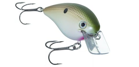 1.5" KVD SQUARE BILL CRANKBAIT TENN. SHAD 3'-5'