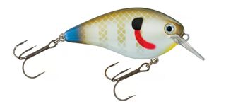 3/8 OZ KVD SQUARE BILL CRANKBAIT 2-1/2" SEXY SUNFISH 3'-5'