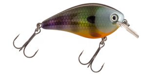 1.5" KVD SQUARE BILL CRANKBAIT NEON BLUEGILL 3'-5'