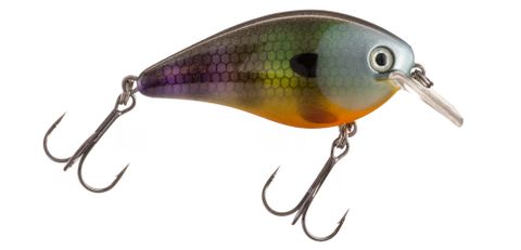 1.5" KVD SQUARE BILL CRANKBAIT NEON BLUEGILL 3'-5'