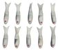 2-1/2" LIT'L FISHIE PEARL/GREY CREME 10PK