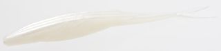 7" SUPER FLUKE WHITE/PEARL 5PK