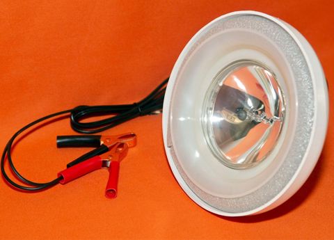 12 VT FLOATING CRAPPIE SPOTLIGHT