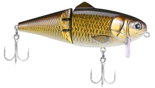 6" BIO SHAD WAKE BAIT GOLDEN SHINER