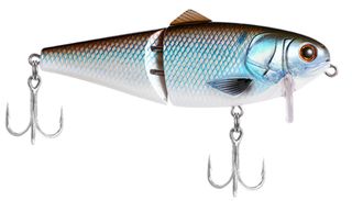 6" BIO SHAD WAKE BAIT SHAD