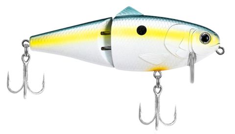 6" BIO SHAD WAKE BAIT SEXY SHAD