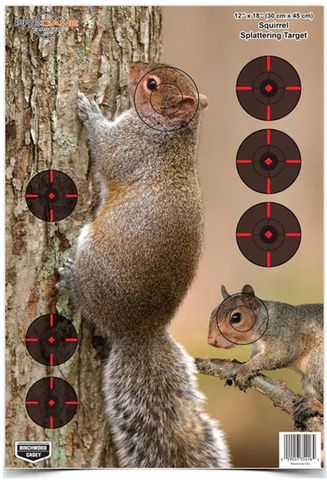 12"X18" PREGAME® SQUIRREL SPLATTERING TARGETS 8PK