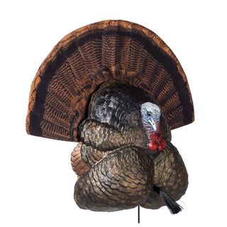 THUNDER CREEPER™ STRUTTING TURKEY DECOY