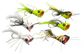 #1 BASS BUG POPPER ASSORTED