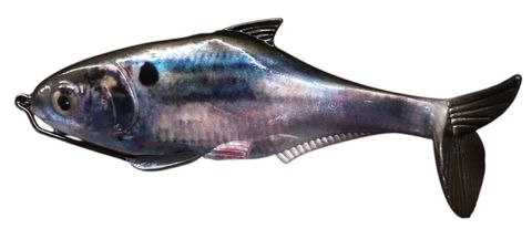 **WSL** 6" TEXAS SHAD WEEDLESS 2 OZ THREADFIN SHAD