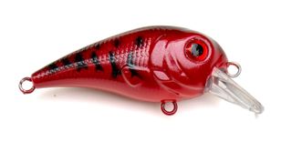 2-1/4" POND FAV. SHALLOW RED CRAW CREME