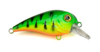 2-1/4" POND FAV. SHALLOW FIRE TIGER CREME