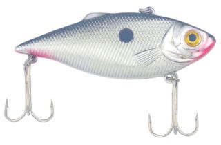 2-1/2" POND FAV. LIPLESS SHAD CREME