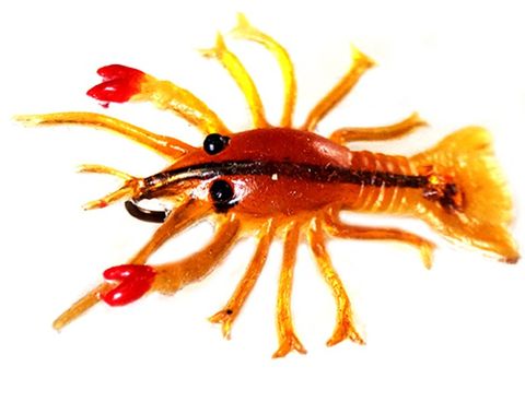 1-1/4" BURKE BABY CRAWFISH 2PK