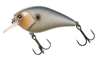 3/8 OZ XB-1 RATTLING SQUAREBILL ROYAL SHAD 2-1/4"