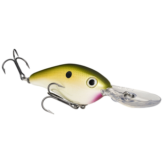 5.5" PROMODEL 8XD CRANKBAIT TN SHAD