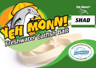 FISHBITES YEH MONN! FRESHWATER SHAD FLESH 2CT