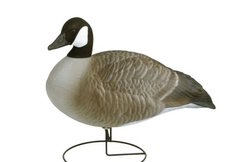 **WSL** FULL BODY CANADA GOOSE DECOYS 6PK