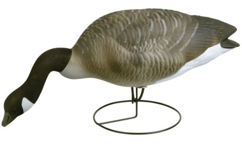 **WSL** CANADA GOOSE FEEDING DECOYS 6PK