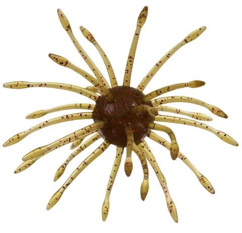 1" UNI - GREEN PUMPKIN PURPLE COPPER
